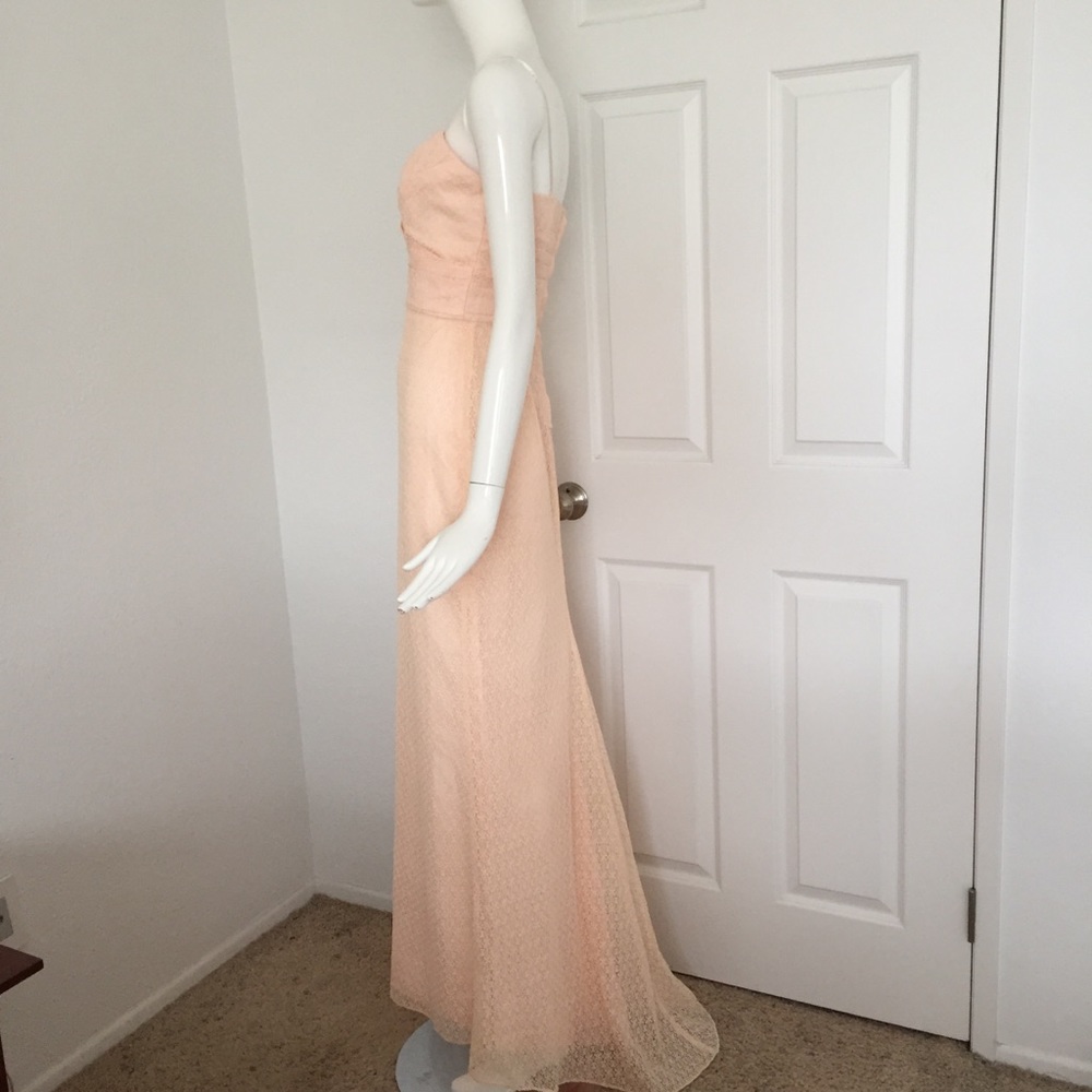 Jill Stuart pink lace maxi dress - Picture 7 of 8